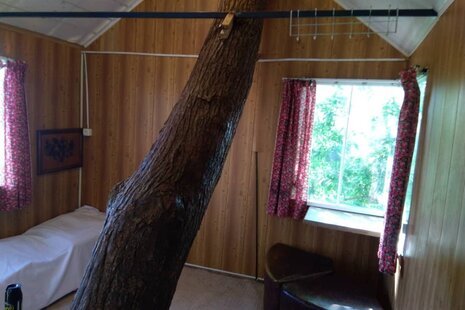 کلبه درختی 20 متری در نور