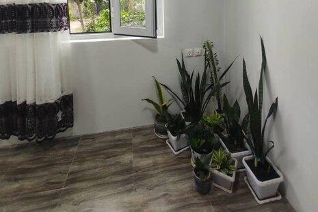 سوئیت ویلا گلها در ماسال