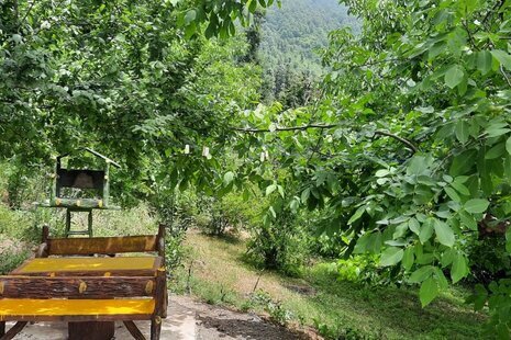 واحد تکخواب استخرگاه 2 در طبقه همکف ویلای رودبار