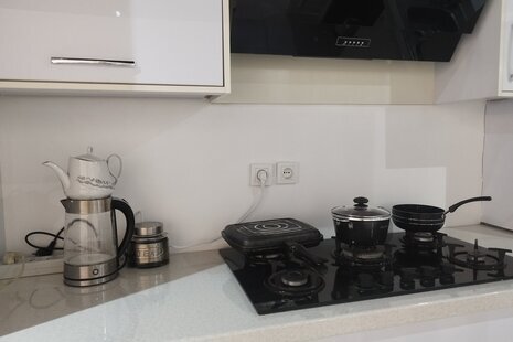 آپارتمان دوبلکس مبله تکخواب سیما در باغ فیض