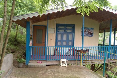 کلبه جنگلی تکخواب ماهان در ماسال