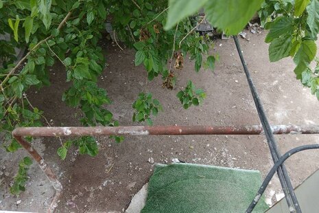 ویلا دوخواب مبله استخردار کد 4 در بندرانزلی