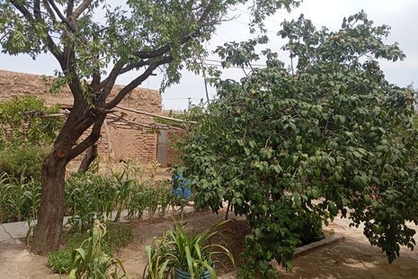 ویلا سنتی تکخواب  ننه بطول در شاهرود