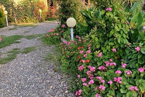 ویلا مبله تک خواب باغ بهشت 2 در رشت