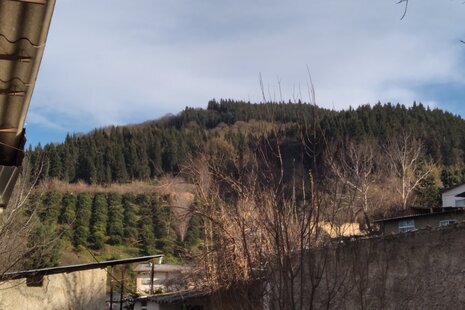 خانه ویلایی تکخواب مبله در بهشهر