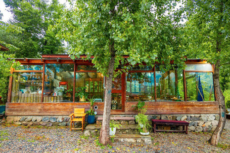 واحد صنوبر جکوزی دار در اقامتگاه بومگردی تنکابن