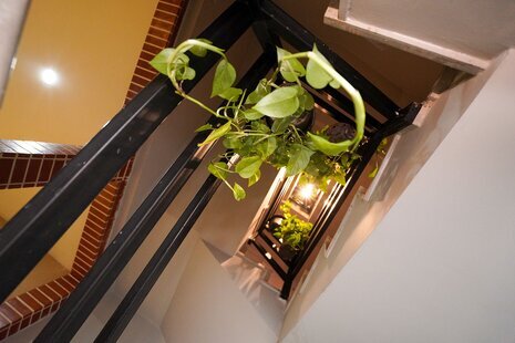 سوئیت (3) در خانه مسافر اصفهان