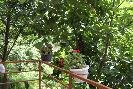 کلبه چوبی دوبلکس مبله در ماسال