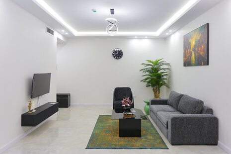 آپارتمان مبله تکخواب 1 در خیابان ولیعصر