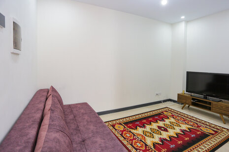 آپارتمان مبله تکخواب فلکه اول(3) در تهرانپارس