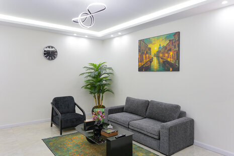 آپارتمان مبله تکخواب 1 در خیابان ولیعصر