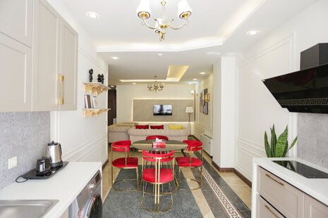 آپارتمان یک خوابه تیپ نئوکلاسیک 2 در میرداماد