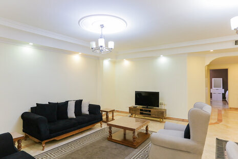 آپارتمان مبله دوخواب ونک (1)