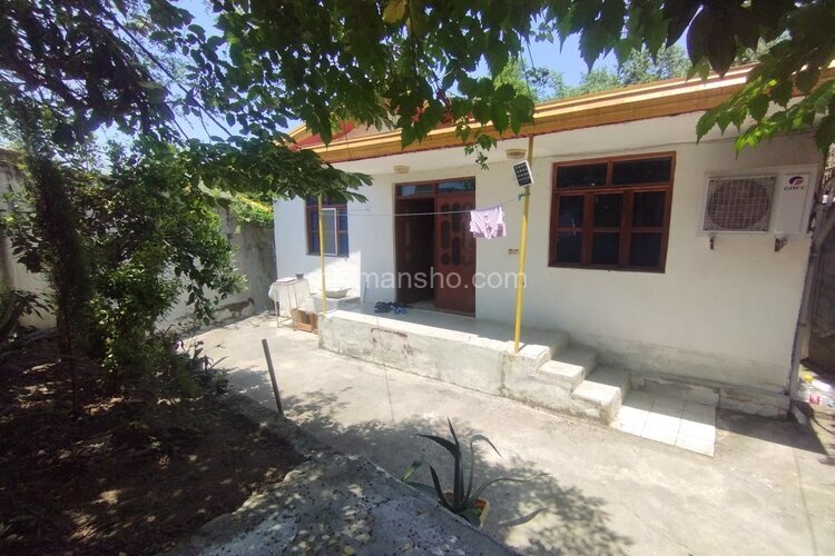 واحد تکخواب جنگلی در طبقه همکف ویلا پلنگ دره شیرگاه