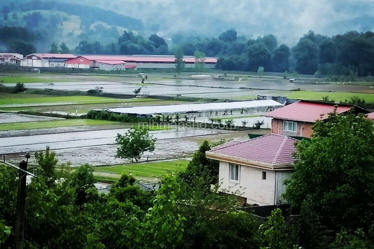 واحد در طبقه دوم دوخواب ویلا بشل 3 سوادکوه