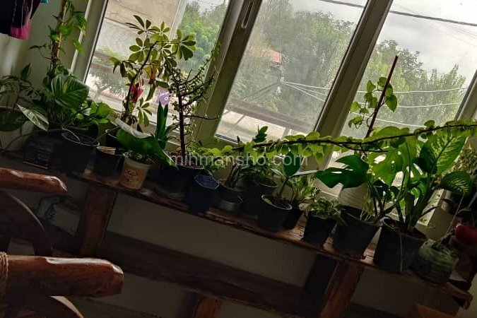 آپارتمان تکخواب غلامی در سنگر