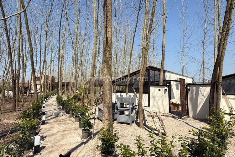 ویلا دوخواب میجان 2 در رشت