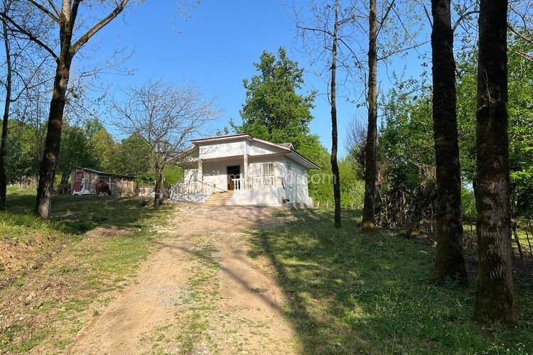 ویلا جنگلی دوخواب مبله میثاق در ماسال