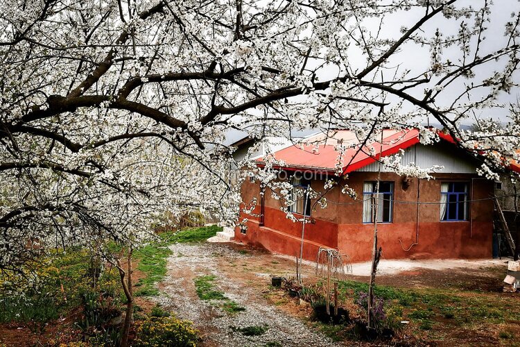 خانه ویلایی تکخواب در توتکابن