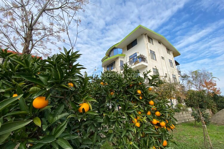 ویلا دوخواب آرام 2 در رامسر