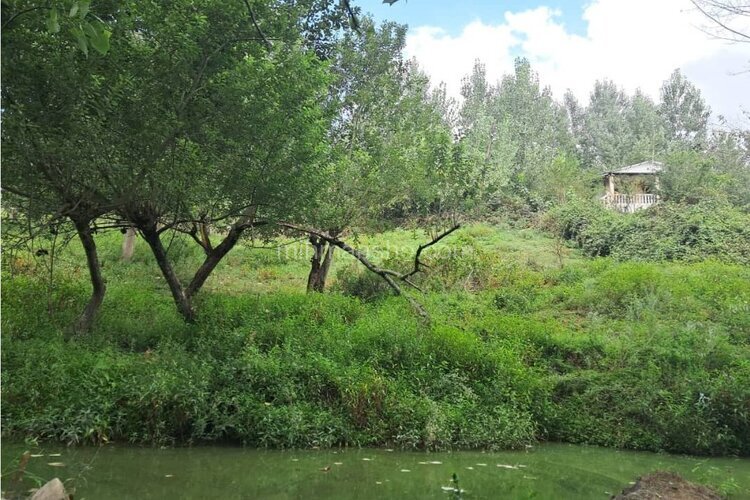 ویلا مبله تکخواب تک خانه در بابل