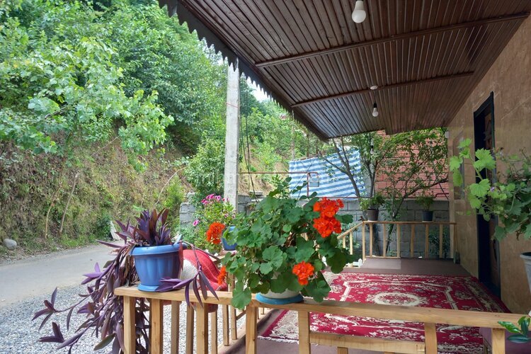 واحد دوخواب جنگلی در طبقه همکف ویلا در اسالم