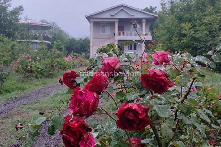 واحد دوخواب طبقه همکف ویلا نسیم در ماسال