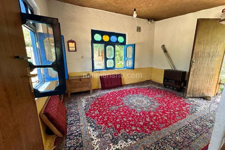 سوئیت جنگلی کاهگلی در کیاده ساری