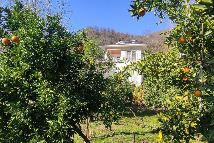 ویلا دوبلکس مبله سه خواب عمارت سبز در فومن