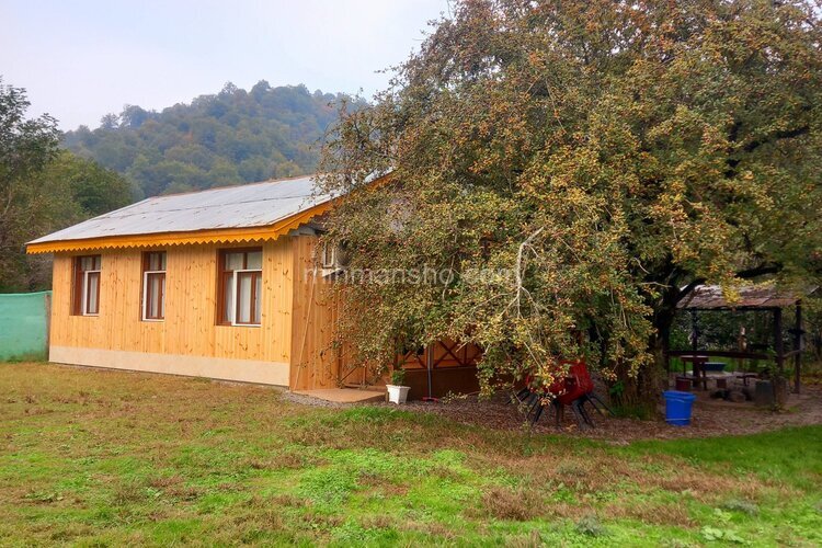 کلبه جنگلی تکخواب مبله در تالش سراگاه