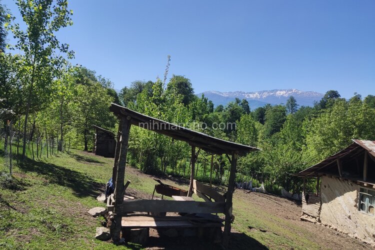 سوئیت باغ جنگلی در بابل