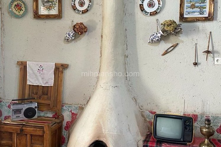 اجاره اتاق آغ بابا در آزادشهر گلستان