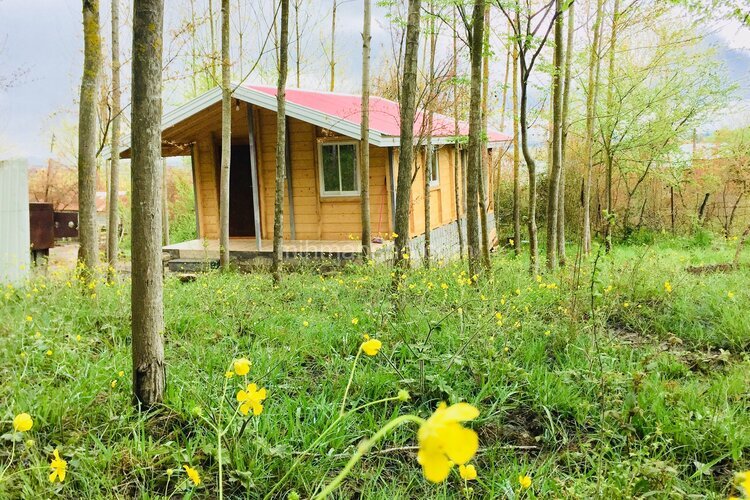 کلبه چوبی تکخواب در ماسال