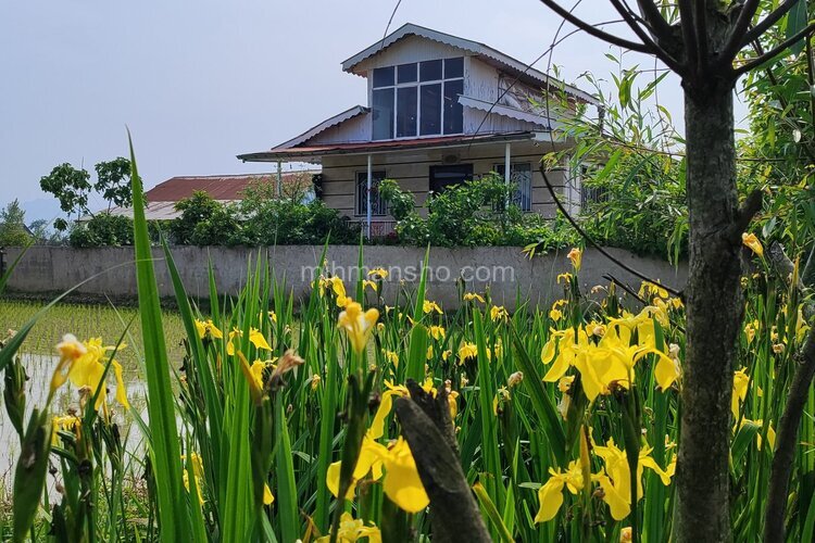 باغ ویلا دوخواب مبله در فومن