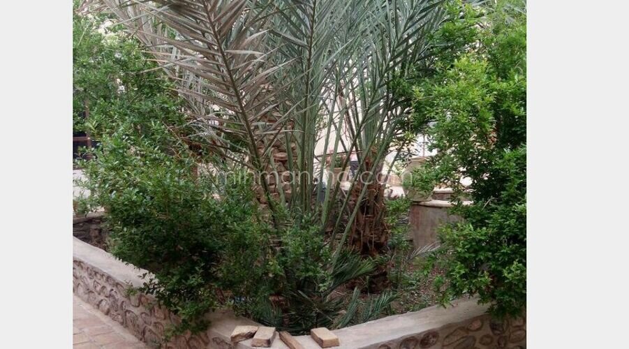 اتاق دراقامتگاه کویری در اصفهان