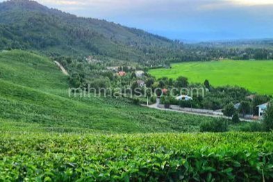 ویلا تکخواب مبله در فومن