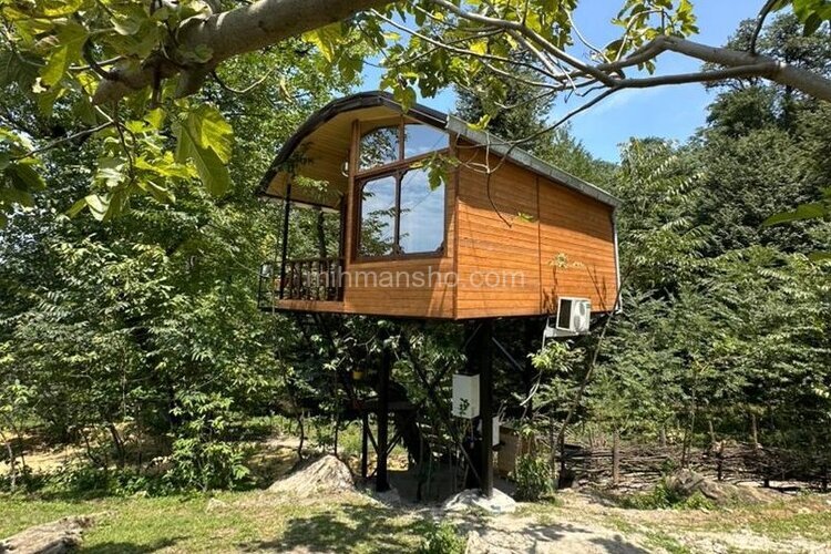 کلبه درختی جکوزی دار داروگ در شیرگاه