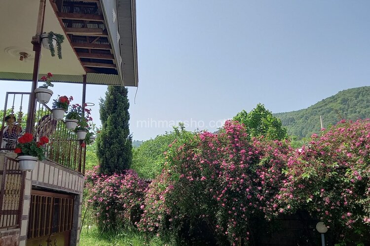 ویلا دوبلکس دوخواب جنگلی در اولم  ماسال