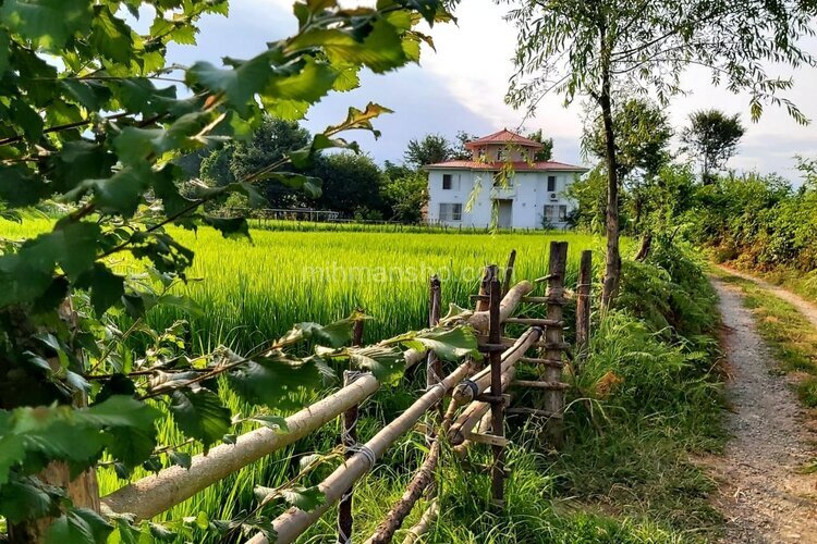 واحد طبقه همکف اسپیناز دو تالش