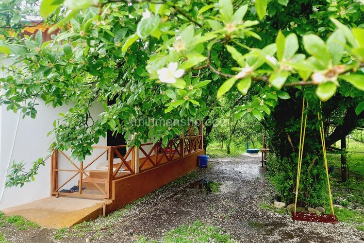 کلبه جنگلی تکخواب مبله در تالش سراگاه