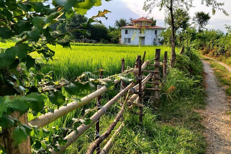 واحد طبقه همکف اسپیناز یک تالش