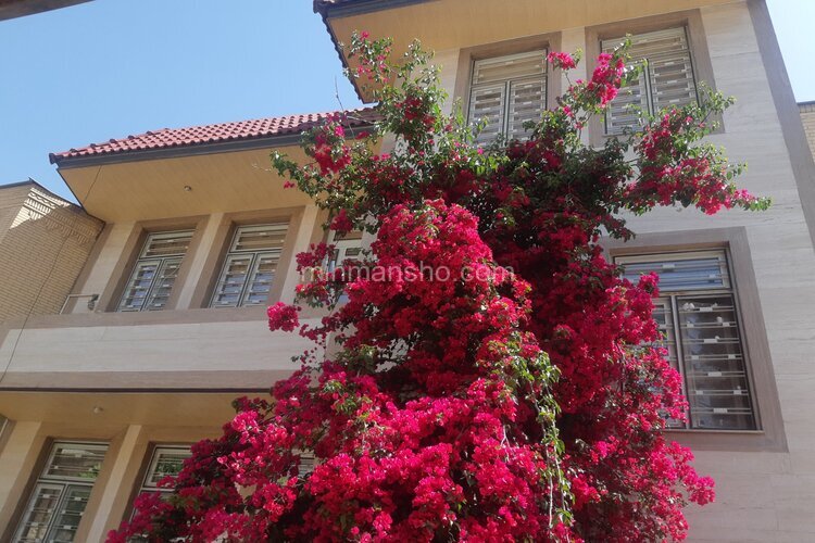 آپارتمان مبله دوخواب در شیراز