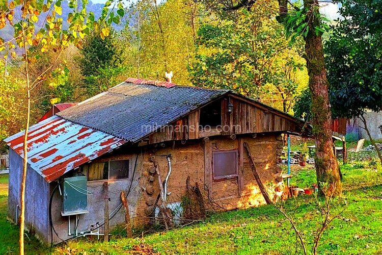 کلبه جنگلی  تکخواب مجنون در فومن