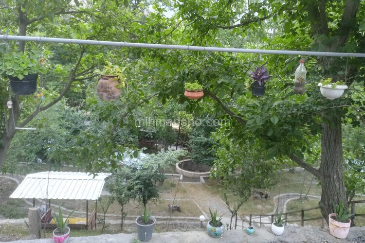 آپارتمان مبله تکخواب 2 در سوادکوه