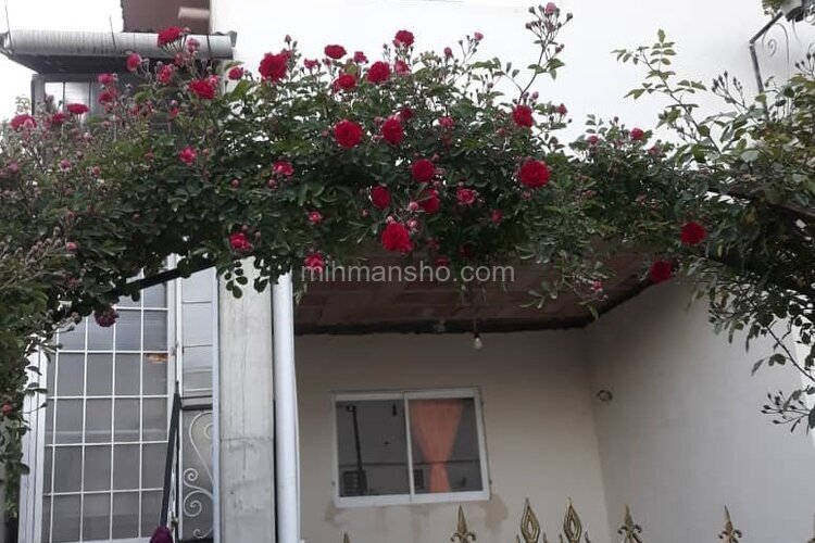 واحد در طبقه همکف ویلا در مازندران