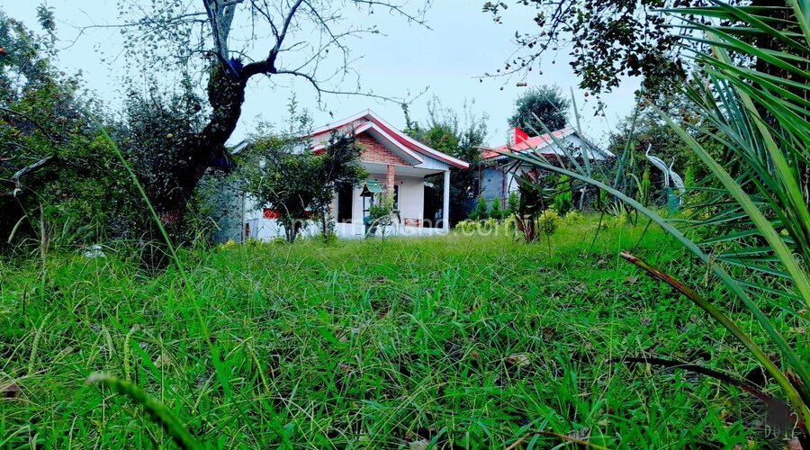 ویلا 2 خواب زیربام سبز شاندرمن