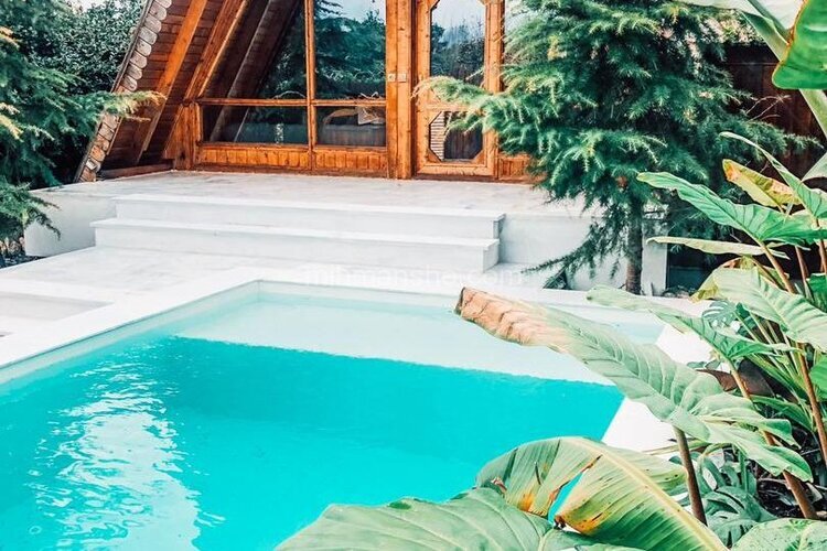 کلبه چوبی آناناس در رامسر