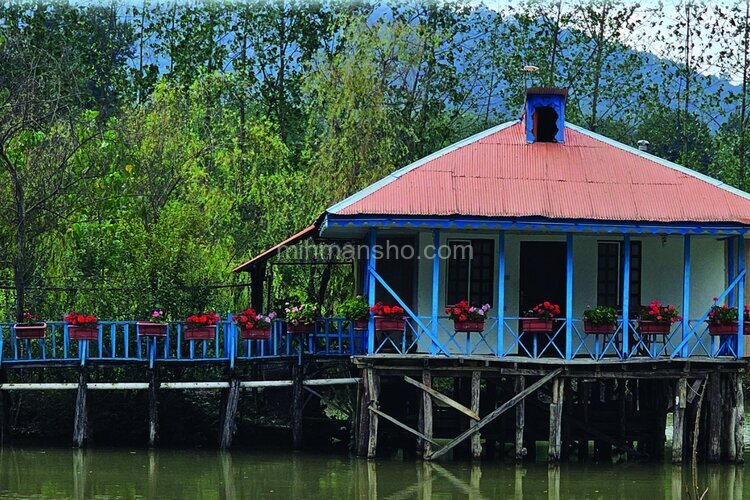 سوئیت ویلا چوبی (آب) در رشت | تصویر اصلی