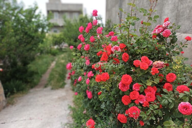 ویلا دو خوابه در مشگین