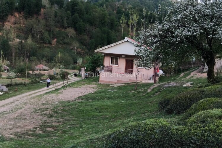 ویلا مبله دوخواب جنگلی  افرا در فومن